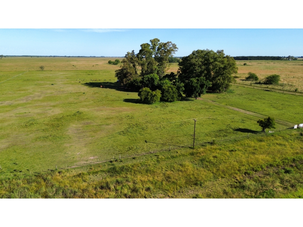Campo de 5 Has sobre ruta en Ranchos - 2