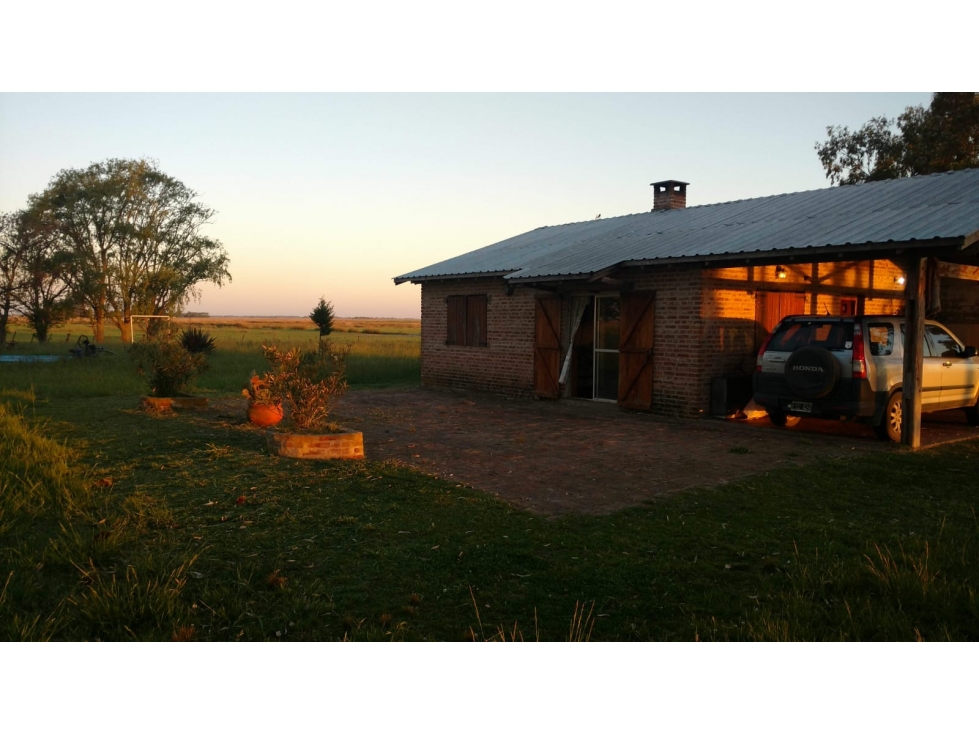 Campo mixto de 758 Has en Carlos Casares, Buenos Aires - 2