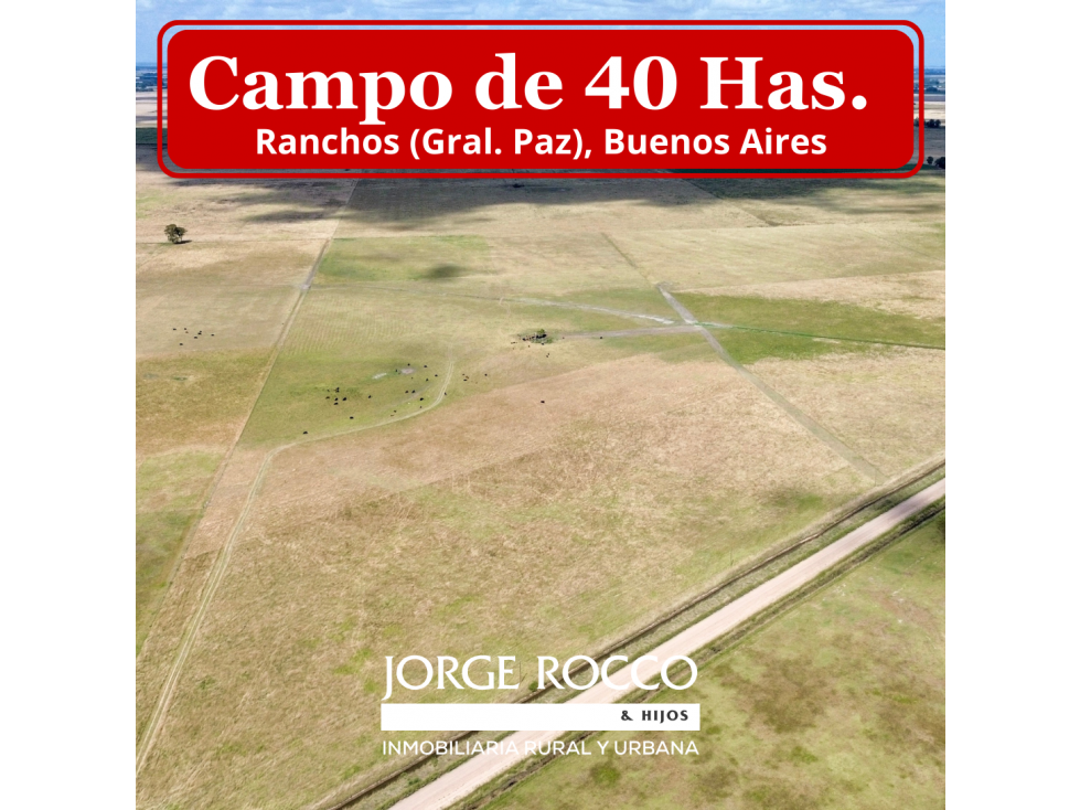 Campo de 40 Has en Ranchos, Buenos Aires - 1