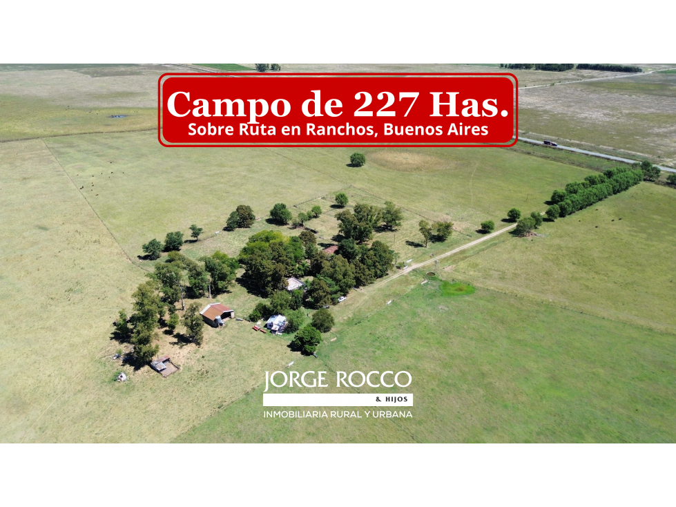 Campo en venta. 227 Has en Ranchos, mixto sobre ruta - 1