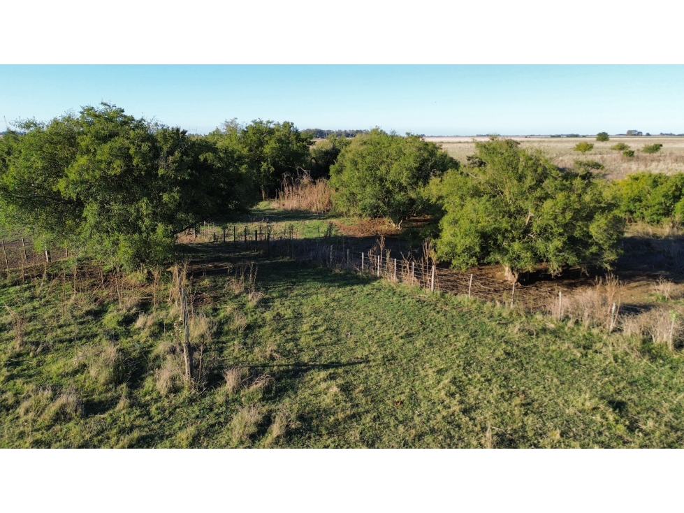 Campo de 170 Has en Ranchos, Bs. As. - 2