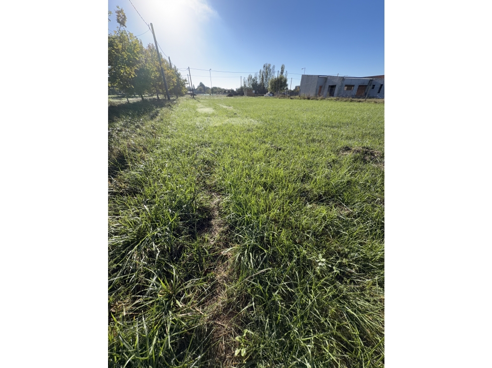 Hermoso lote quinta en barrio El Chañar II. - 2