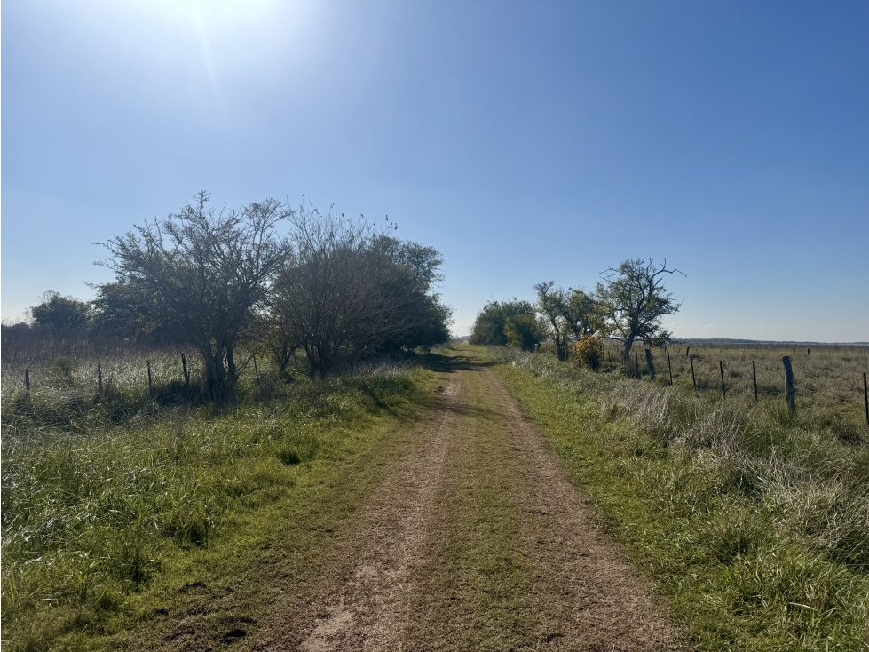 Campo de 31 Has en Brandsen, próximo a Ruta 2 - 6