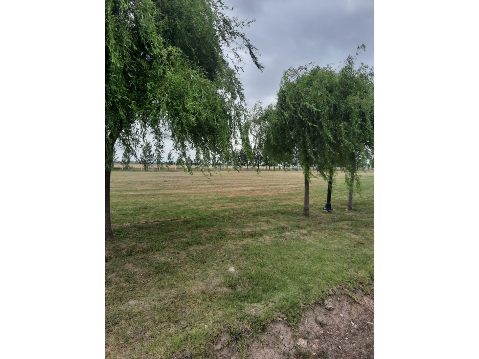 LOTE TERRENO HARAS DE SUR III - 2