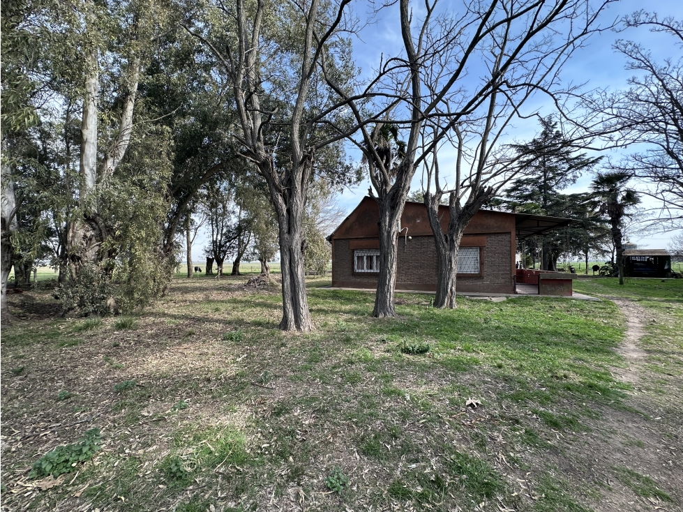 Campo de 26 Has en venta en Loma Verde (pdo. Gral Paz - Ranchos) - 5