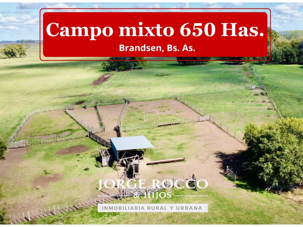 Campo mixto de 650 Has. en venta en Brandsen - 1