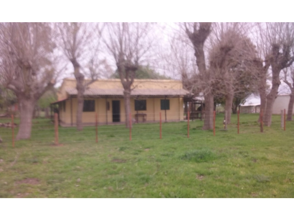 Campo en venta en Chascomús. 75 Has mixto PERMUTA!!! - 6