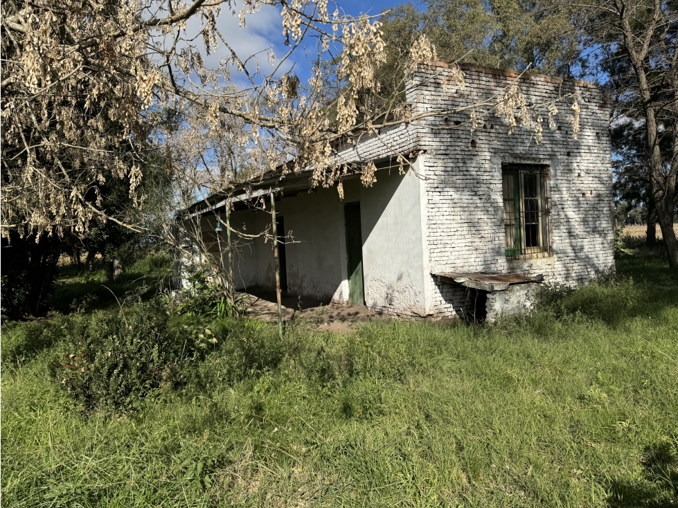 Campo en venta en Gral. Belgrano. 14 Has. agrícolas - ganaderas - 4