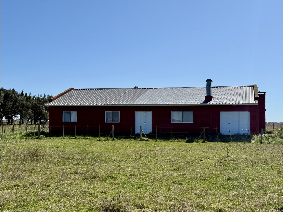 Campo de 450 Has. en Gdor. Udaondo, Pdo. de Cañuelas - 2