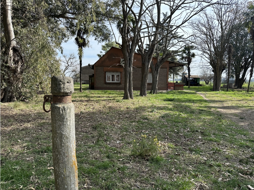Campo de 26 Has en venta en Loma Verde (pdo. Gral Paz - Ranchos) - 4