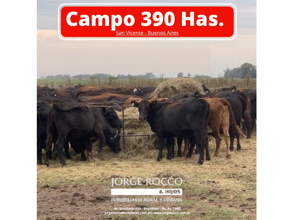 Campo de 393 Has en San Vicente. - 1