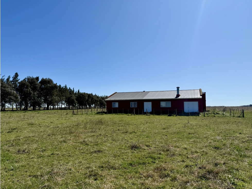 Campo de 450 Has. en Gdor. Udaondo, Pdo. de Cañuelas - 5
