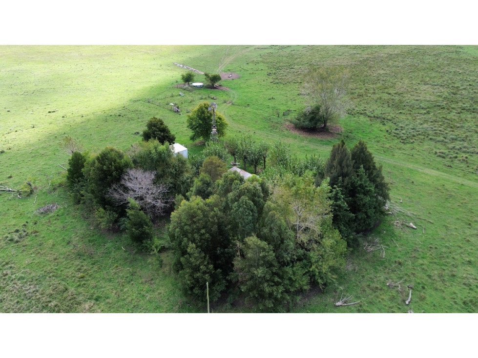 Campo de 75 Has. en venta en Chascomús - 4