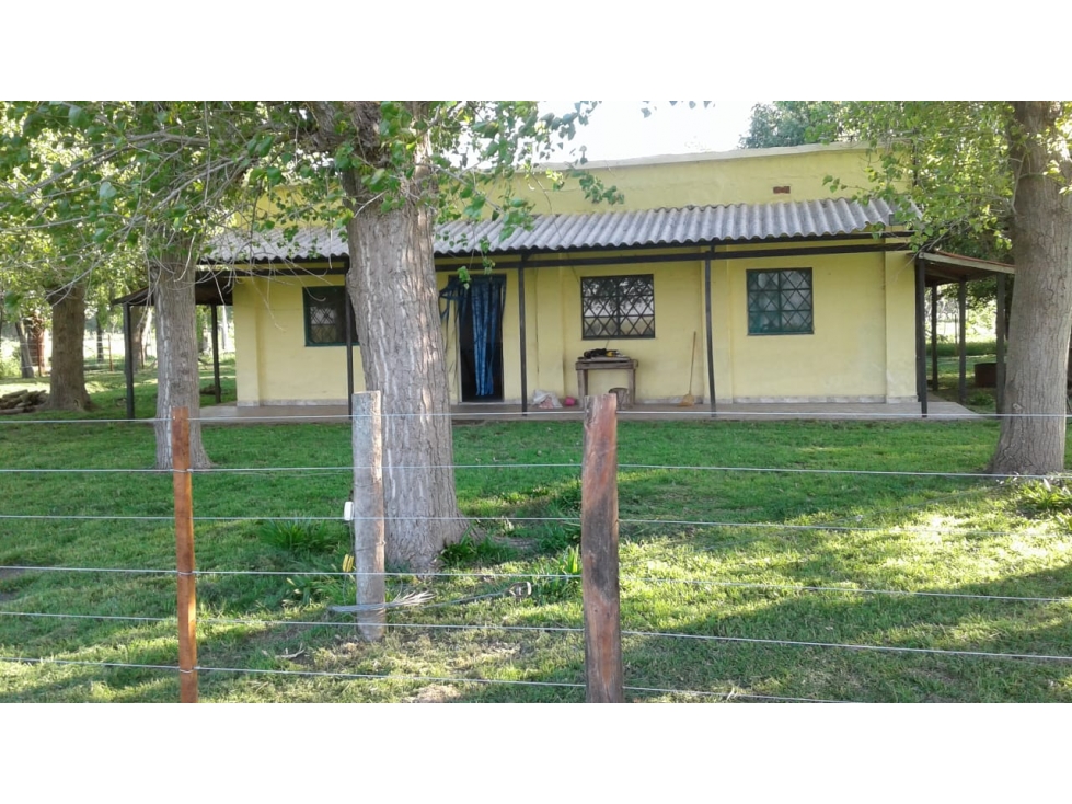 Campo en venta en Chascomús. 75 Has mixto PERMUTA!!! - 3