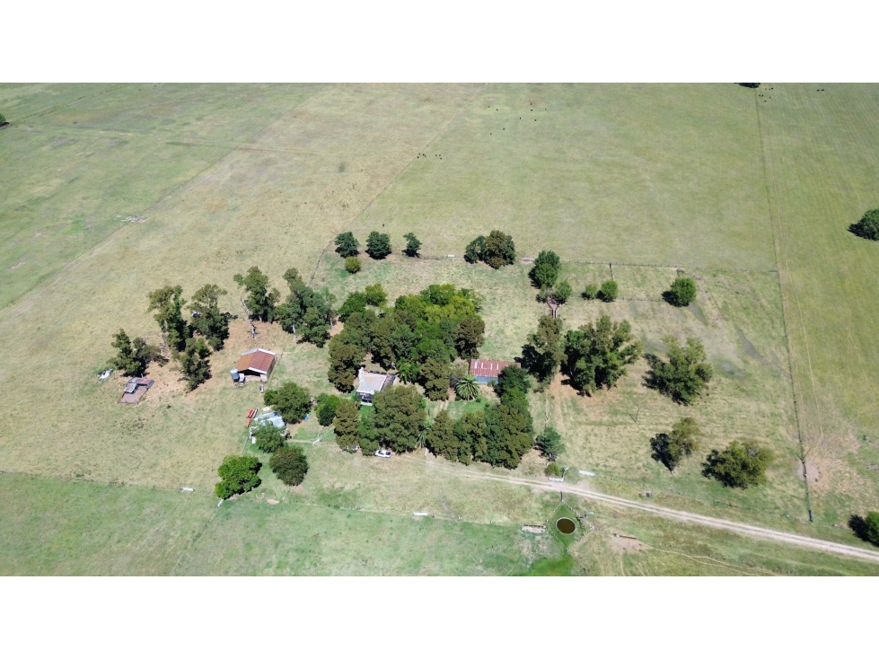 Campo de 227 Has en Ranchos, sobre Ruta - 3