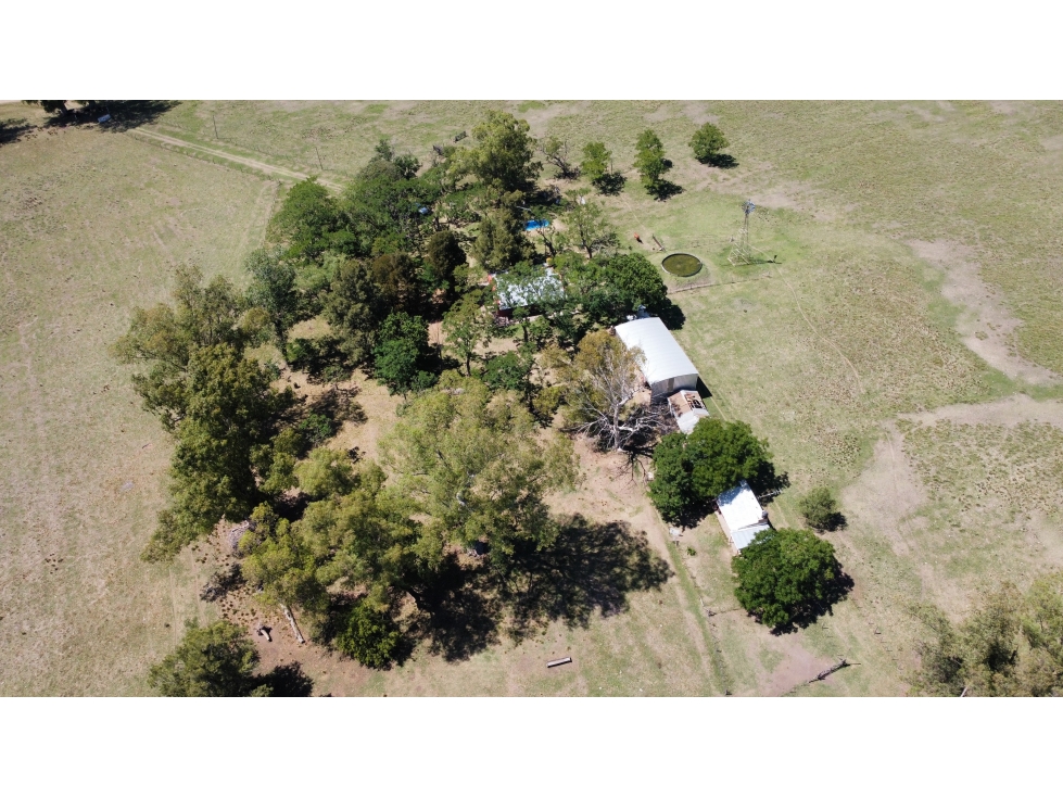 Campo mixto de 20 Has. en Brandsen - 4