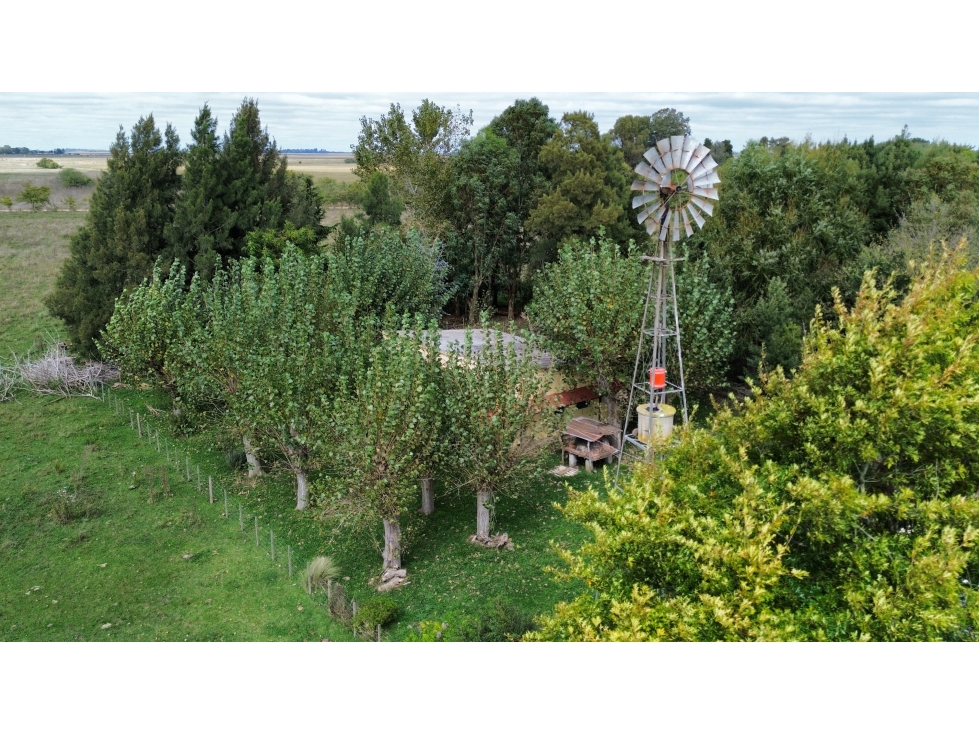 Campo de 75 Has. en venta en Chascomús - 3