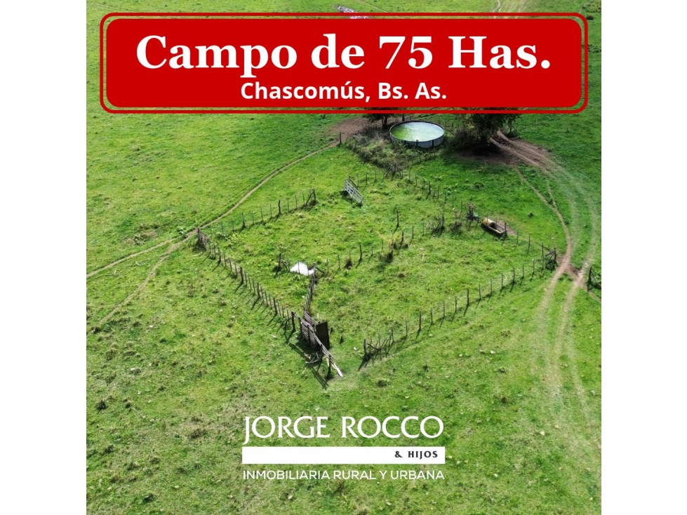 Campo de 75 Has. en venta en Chascomús - 1