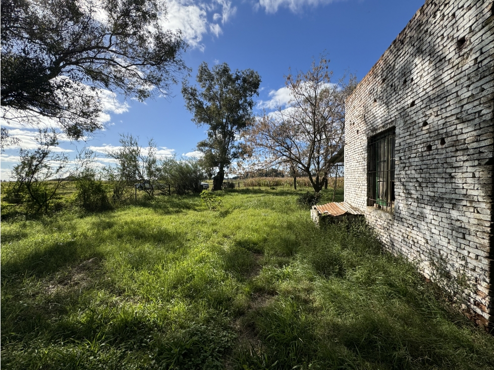 Campo en venta en Gral. Belgrano. 14 Has. agrícolas - ganaderas - 6