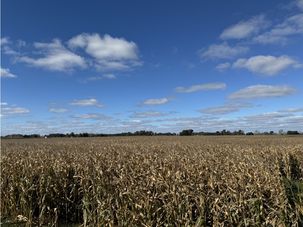 Campo en venta en Gral. Belgrano. 14 Has. agrícolas - ganaderas - 2