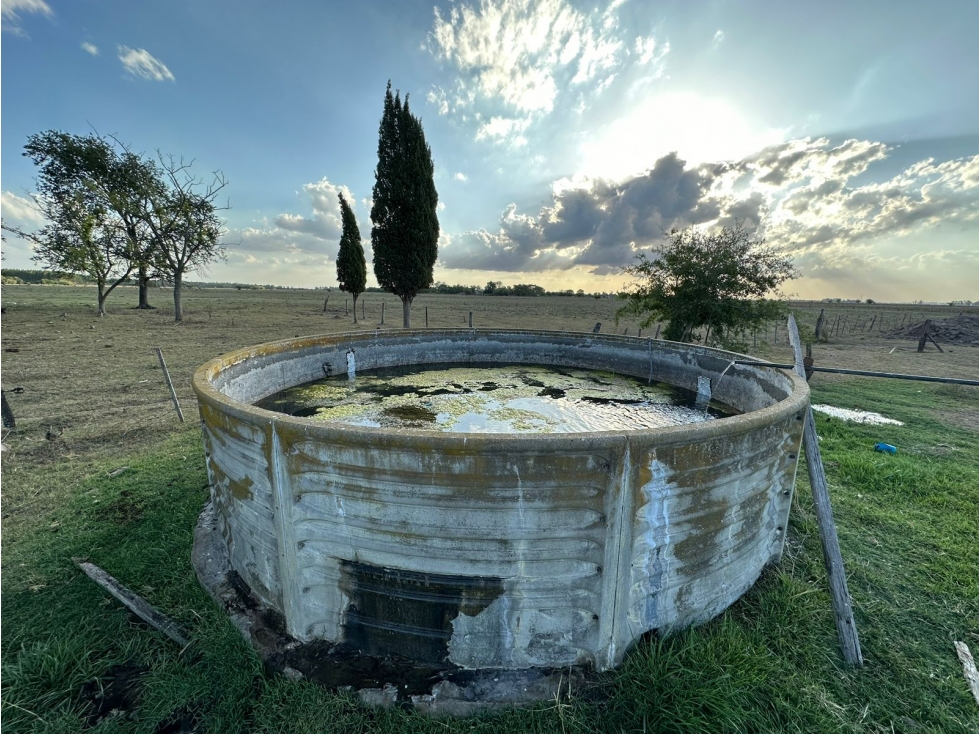 Campo en venta en Gomez, Brandsen. 17 Has ganadero - 3