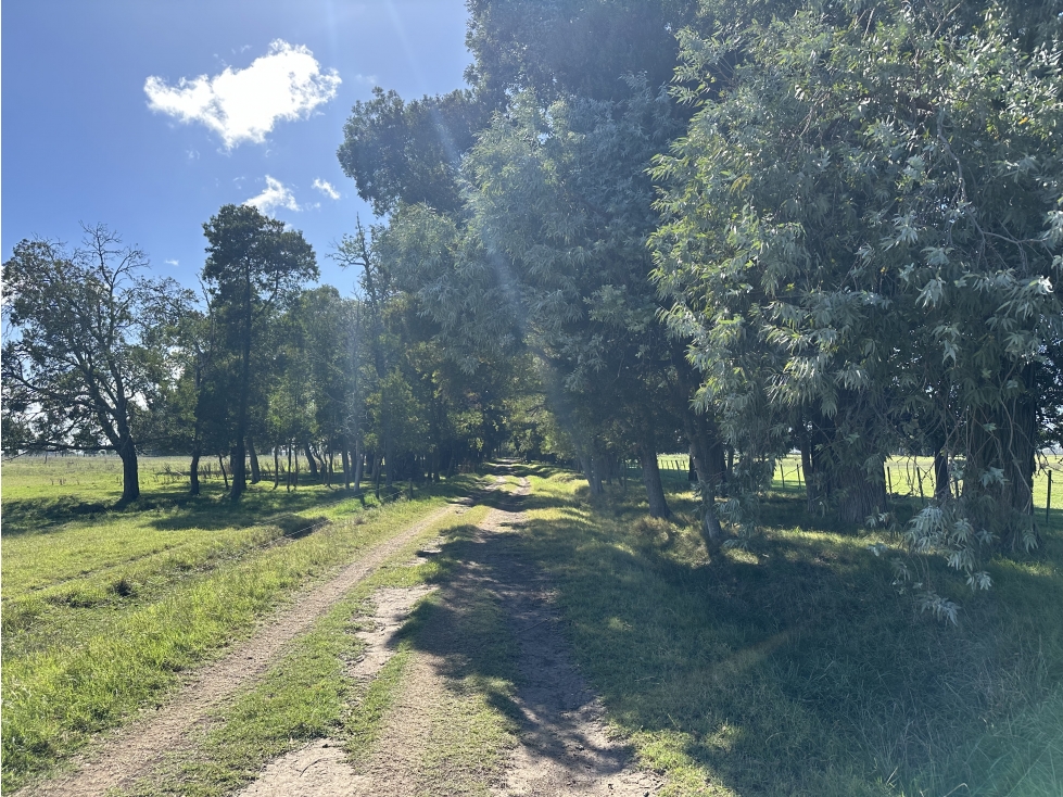 Campo mixto de 650 Has. en venta en Brandsen - 3
