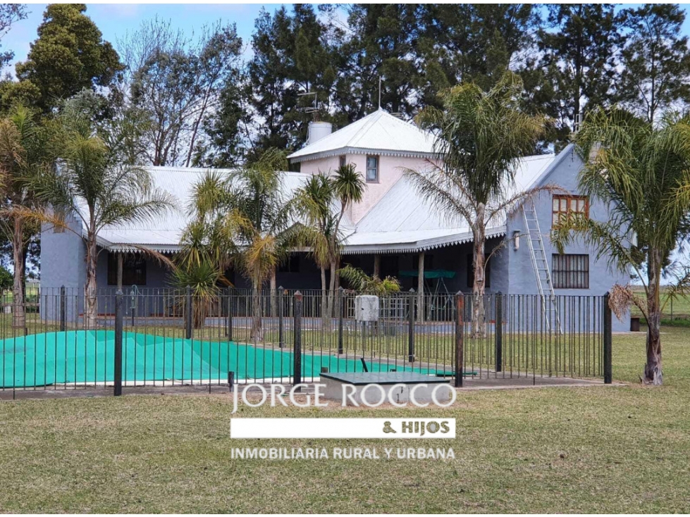 Campo en venta en Bavio. 185 has mixto - 2