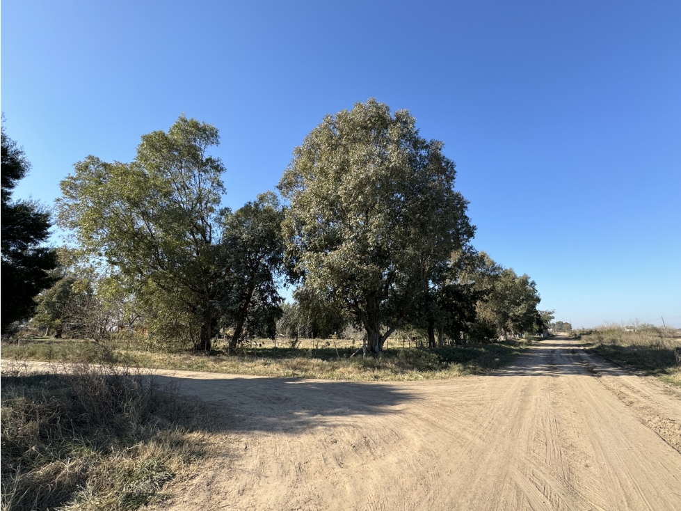 Lote en venta en Barrio La Parada - Brandsen - 5