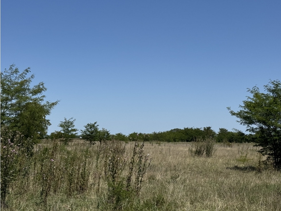 Campo en venta en Ranchos. 56 has mixto - 3