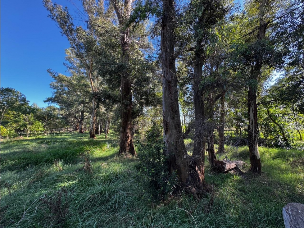 Lote en venta en Barrio "Los Bosquecitos" en Brandsen - 3