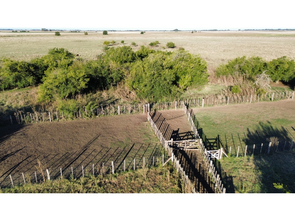 Campo de 170 Has en Ranchos, Bs. As. - 3