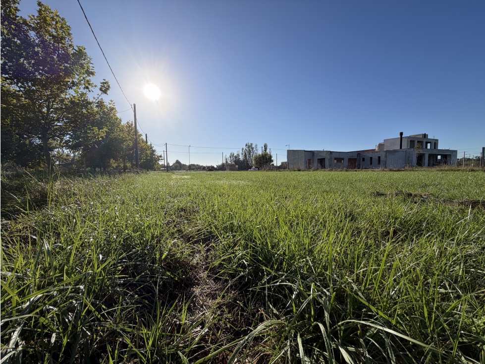 Hermoso lote quinta en barrio El Chañar II. - 3