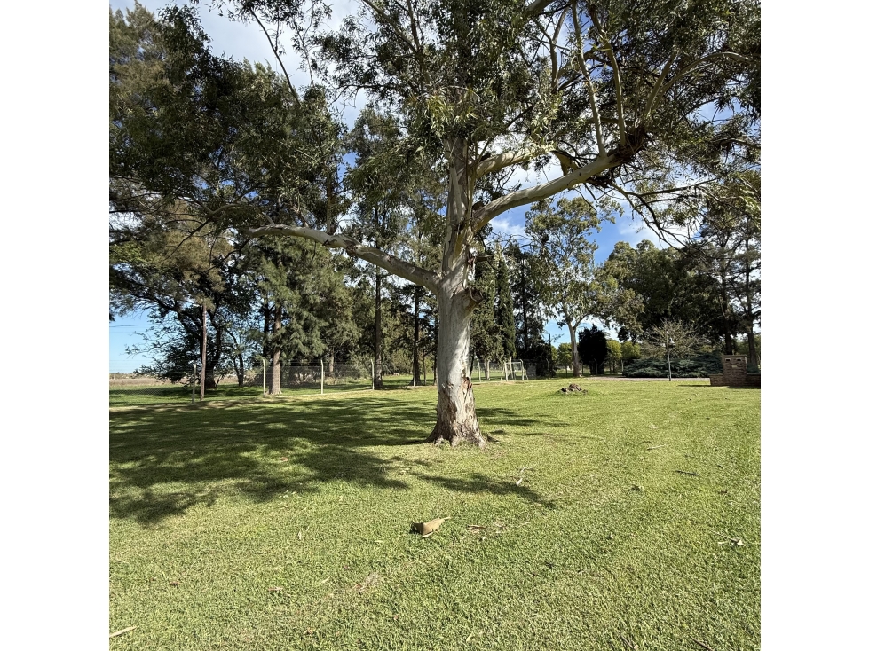 Lote en Altos de Brandsen - OPORTUNIDAD! - 3