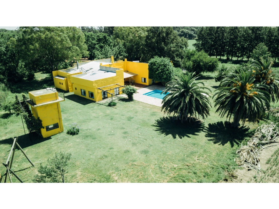 Campo mixto de 225 Has en Ranchos - 3