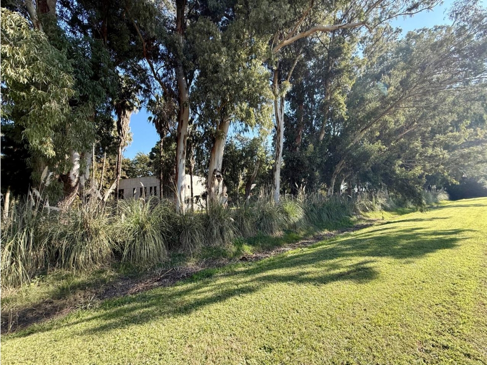 Espectacular Casa Quinta en Barrio La Plantación. Brandsen — foto 4