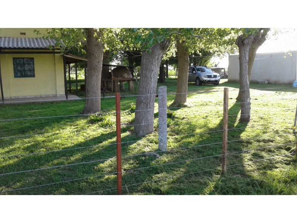 Campo en venta en Chascomús. 75 Has mixto PERMUTA!!! - 5