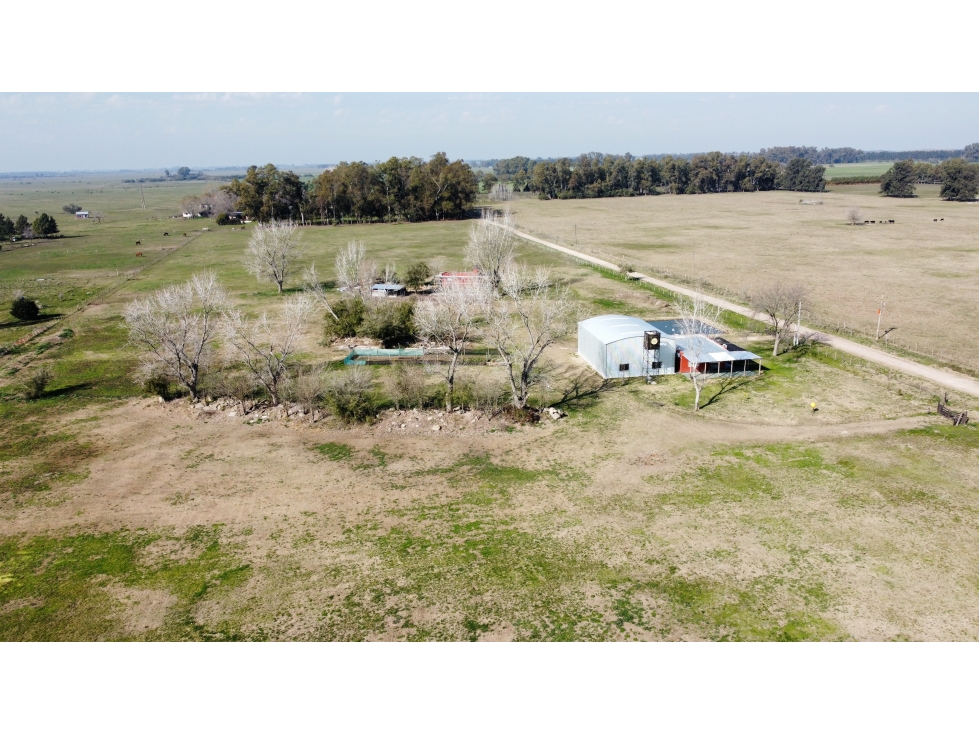 Campo en venta en Brandsen. 5 Has sobre ruta 215 - 2