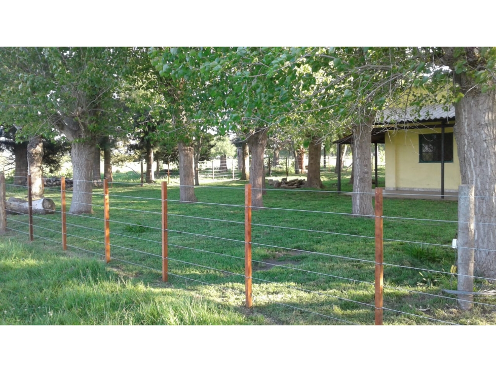 Campo en venta en Chascomús. 75 Has mixto PERMUTA!!! - 4
