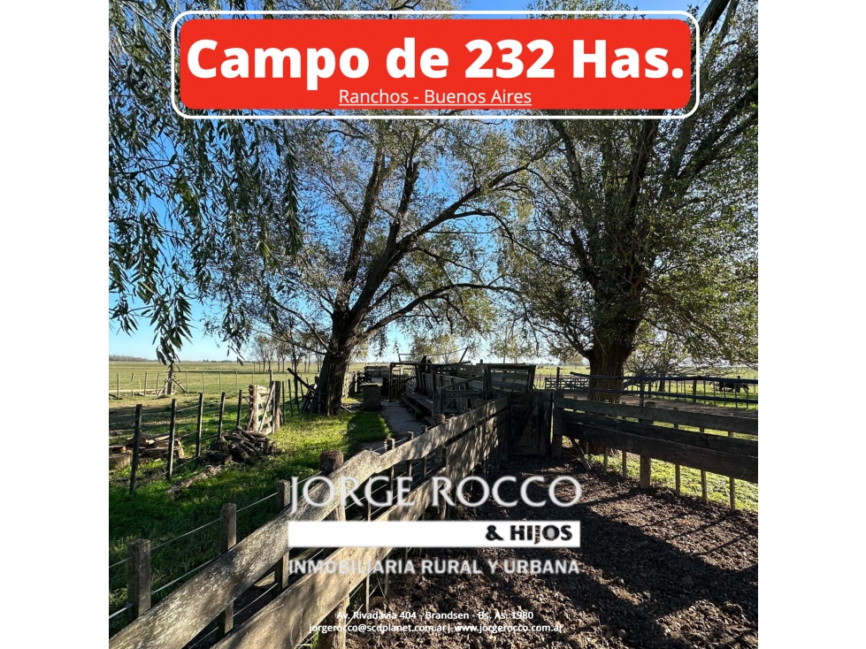 Campo en venta en Ranchos. 449 Has ganadero - 1