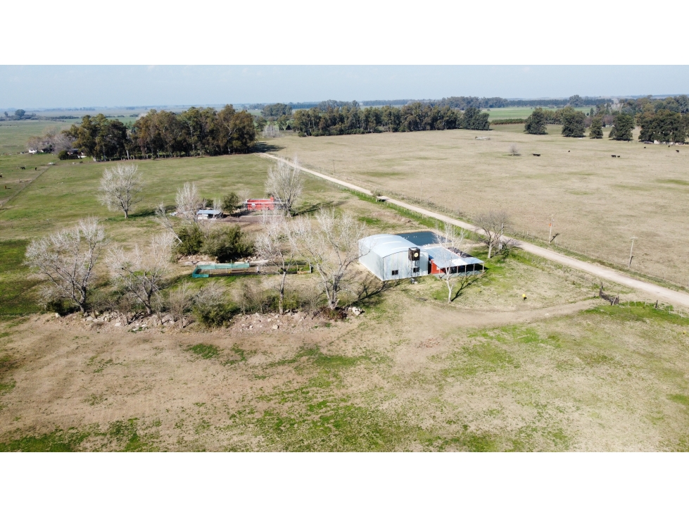 Campo en venta en Brandsen. 5 Has sobre ruta 215 - 6