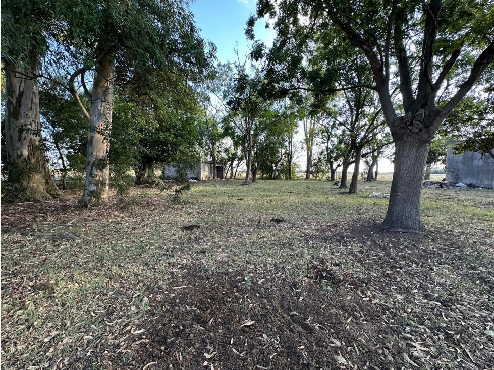 Campo en venta en Gomez, Brandsen. 17 Has ganadero - 4