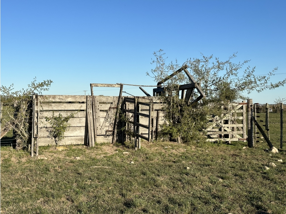 Campo en venta en Brandsen. 49 Has mixto - 3