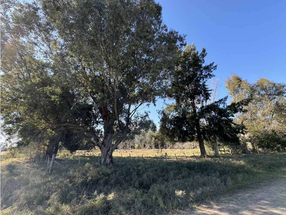 Lote en venta en Barrio La Parada - Brandsen - 6