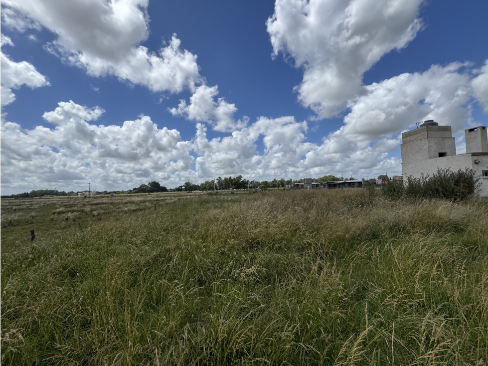 Lote en venta en Gomez (Brandsen). Barrio Rincon de Gomez - 4