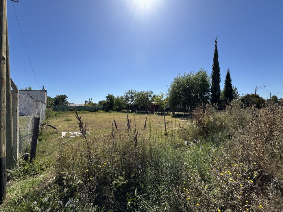 Lote en venta en Brandsen. 20x46 920 m2 - 4
