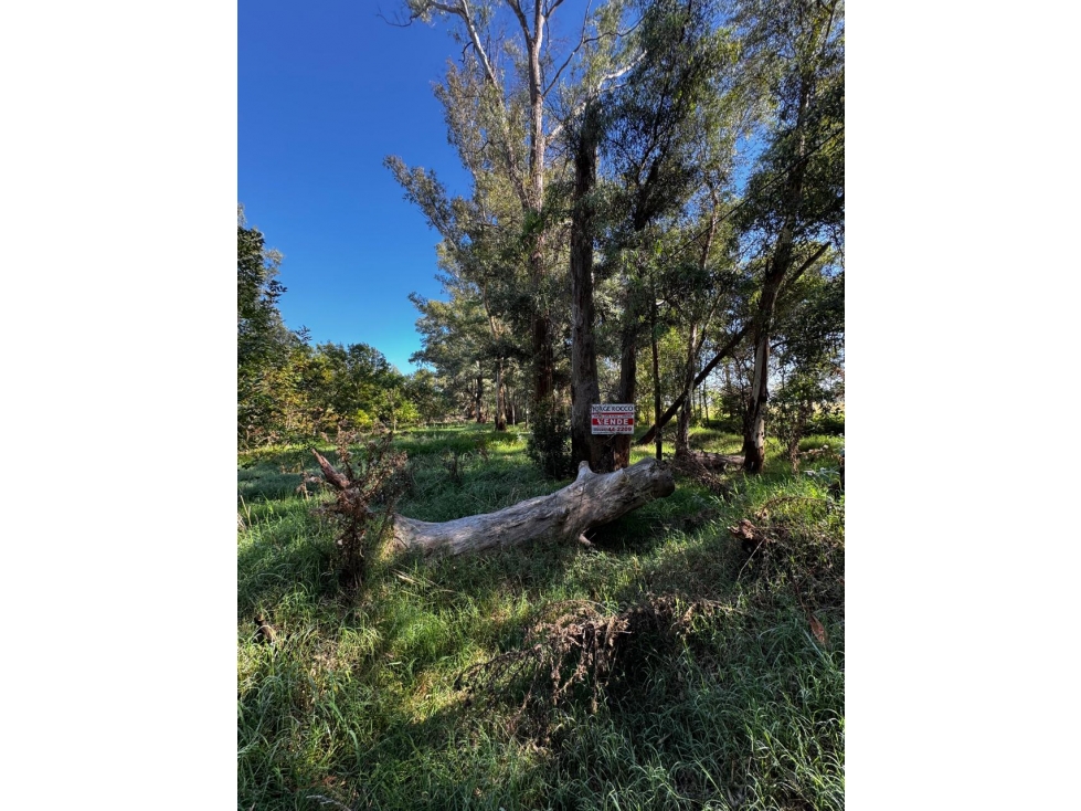 Lote en venta en Barrio "Los Bosquecitos" en Brandsen - 4