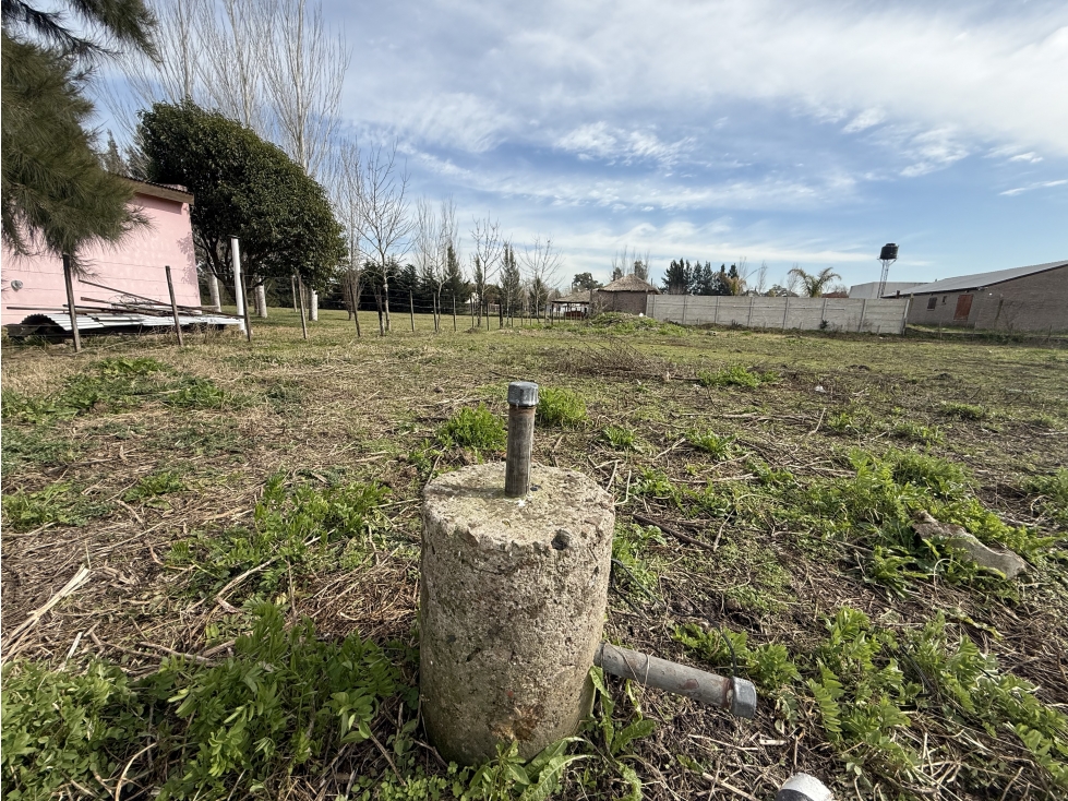 Lote en venta en Barrio La Dolly en Brandsen. 920 M2. - 4