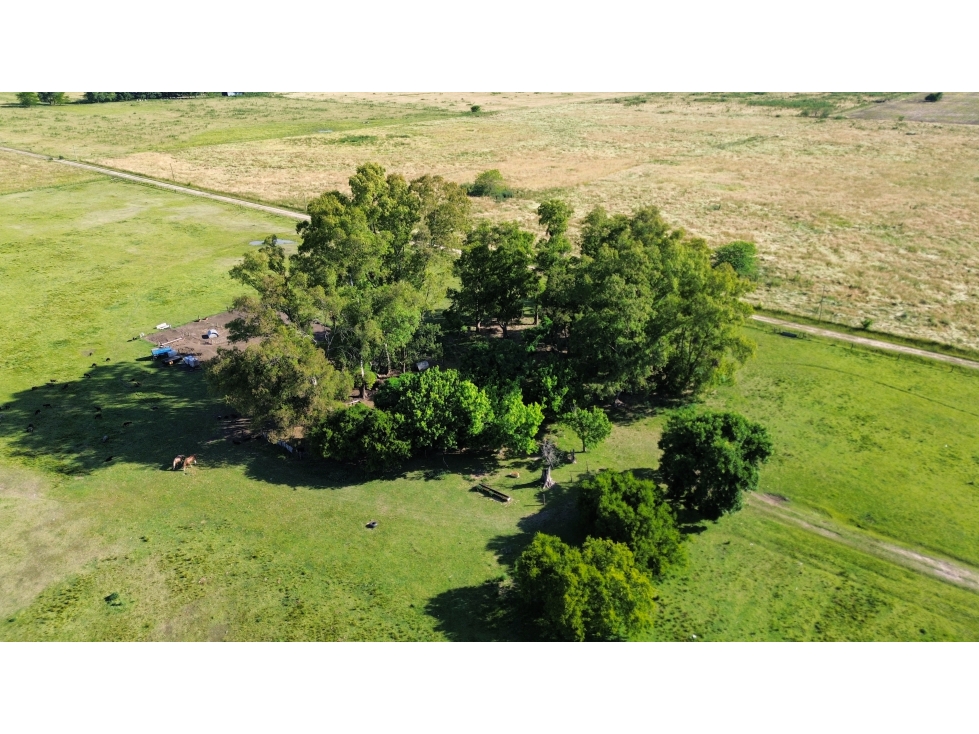 Campo de 5 Has sobre ruta en Ranchos - 5