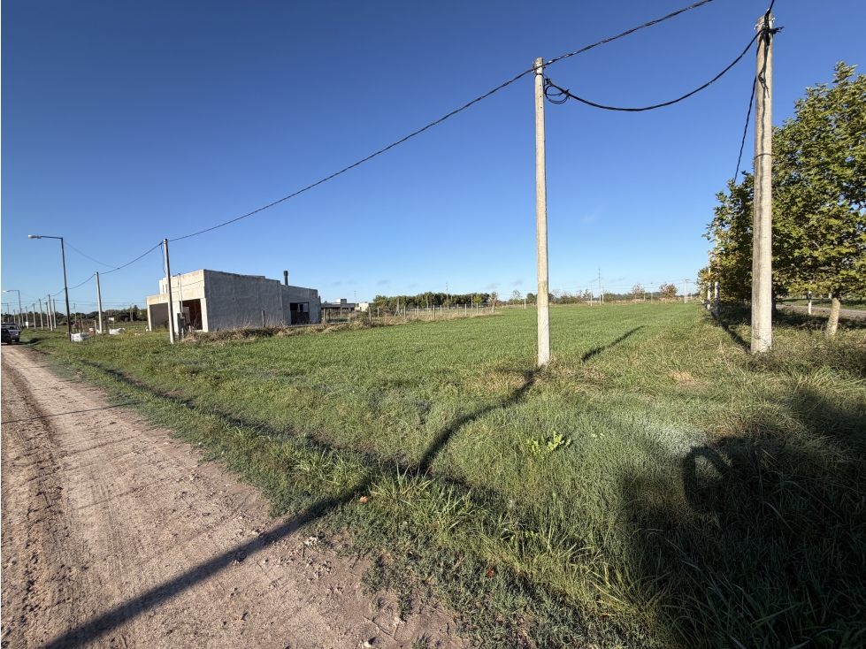 Hermoso lote quinta en barrio El Chañar II. - 4