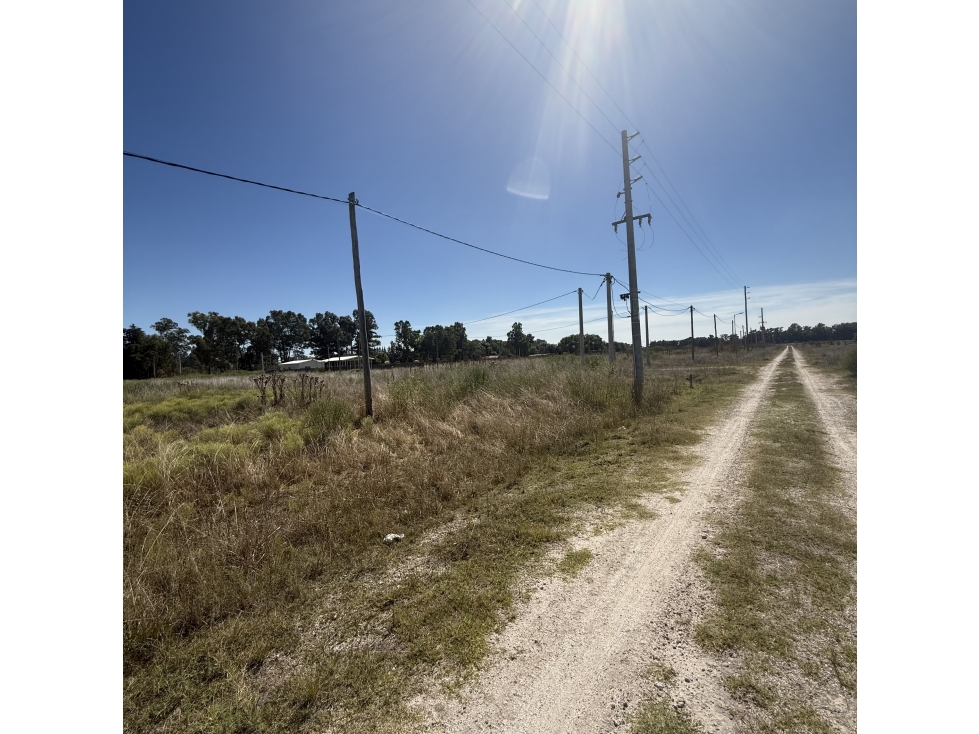Lote sobre calle Sargiotti en Brandsen - 3